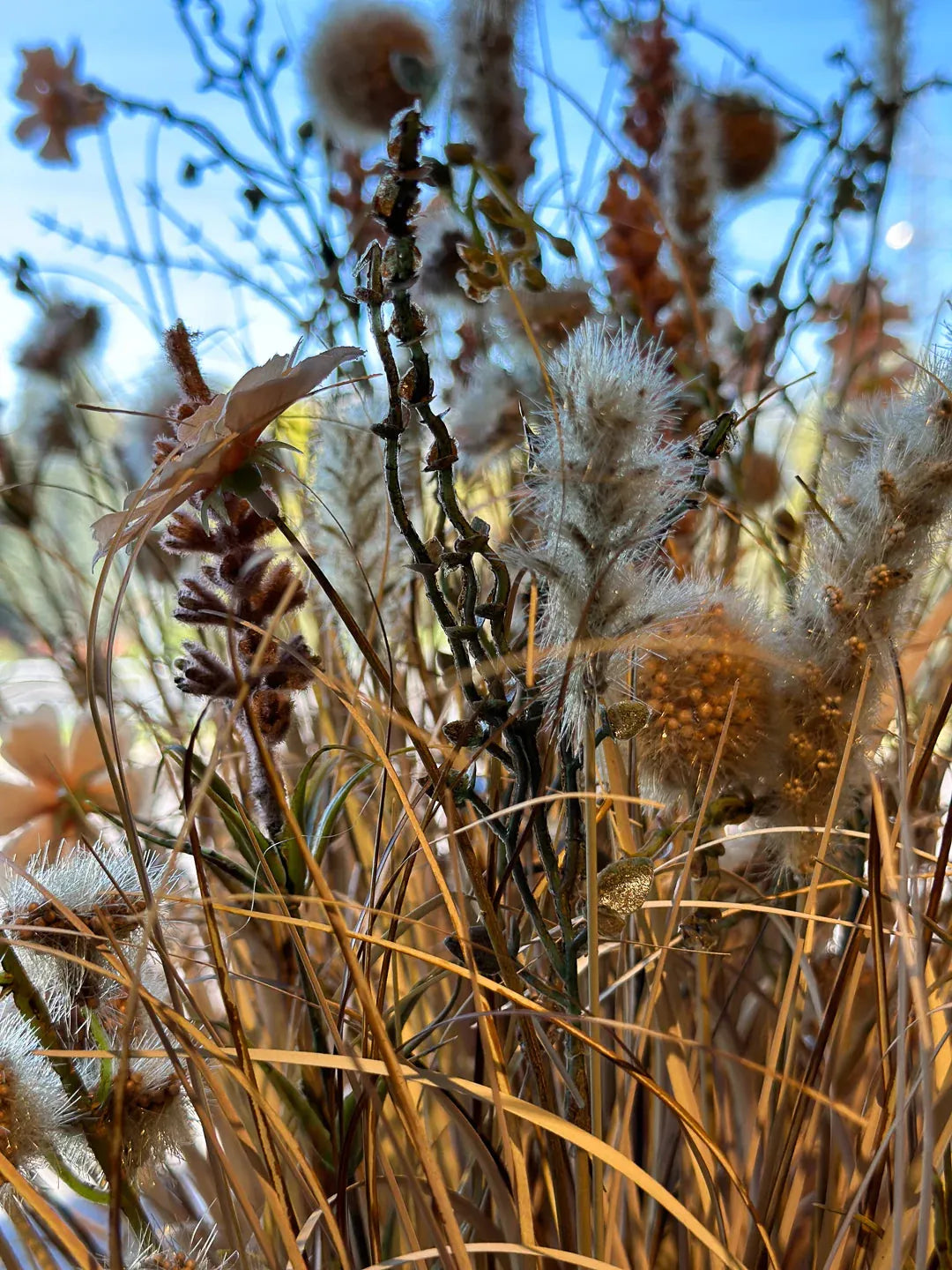 Künstliche Wiesenblumen - Ambre | 40 cm