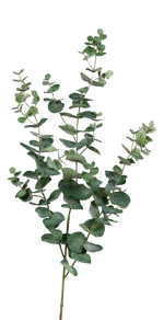 Künstlicher Eukalyptus Zweig - Cobra, 113 cm, Kunstbaum von aplanta, Steckpflanze, in Grün, für drinnen