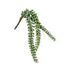 Künstlicher Sukkulenten Hänger - Jannis, 38 cm, Kunstpflanze von aplanta, Steckpflanze, in Natur, für drinnen