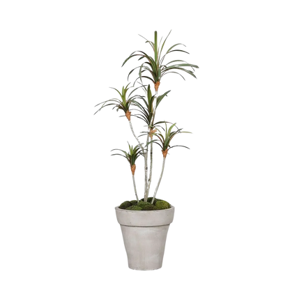 Künstlicher Drachenbaum - Minor, 100 cm, Kunstbaum von aplanta, im schwarzen Topf, in Natur, für drinnen
