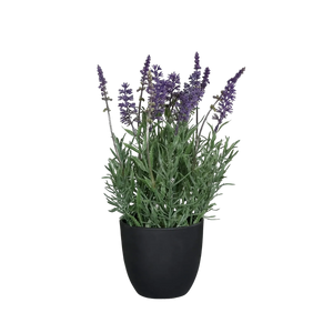 Künstlicher Lavendel - Ibo | 31 cm