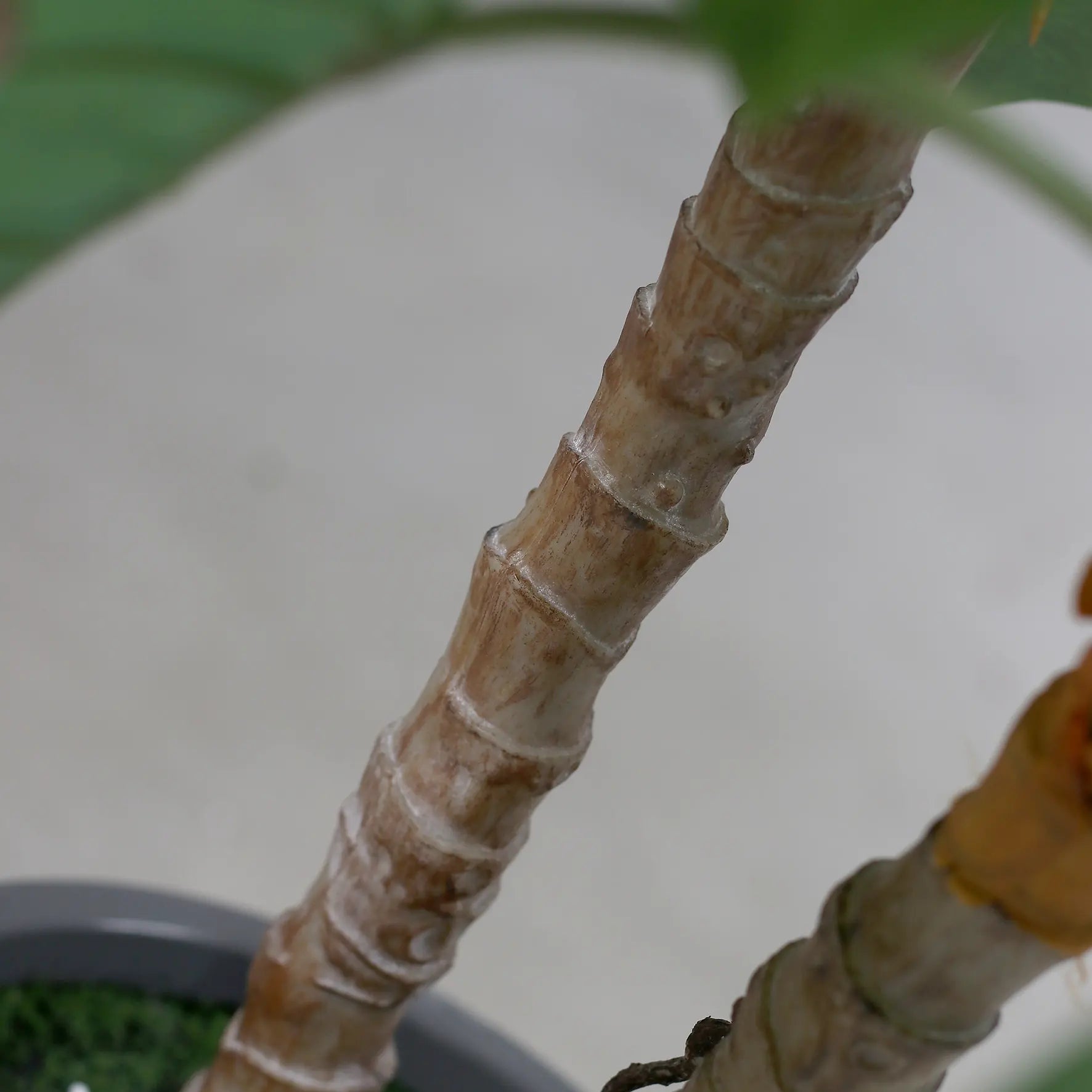 Künstlicher Pothos - Kakashi | 110 cm - Kunstpflanzen von aplanta