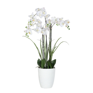 Künstliche Orchidee - Aylin | 120 cm