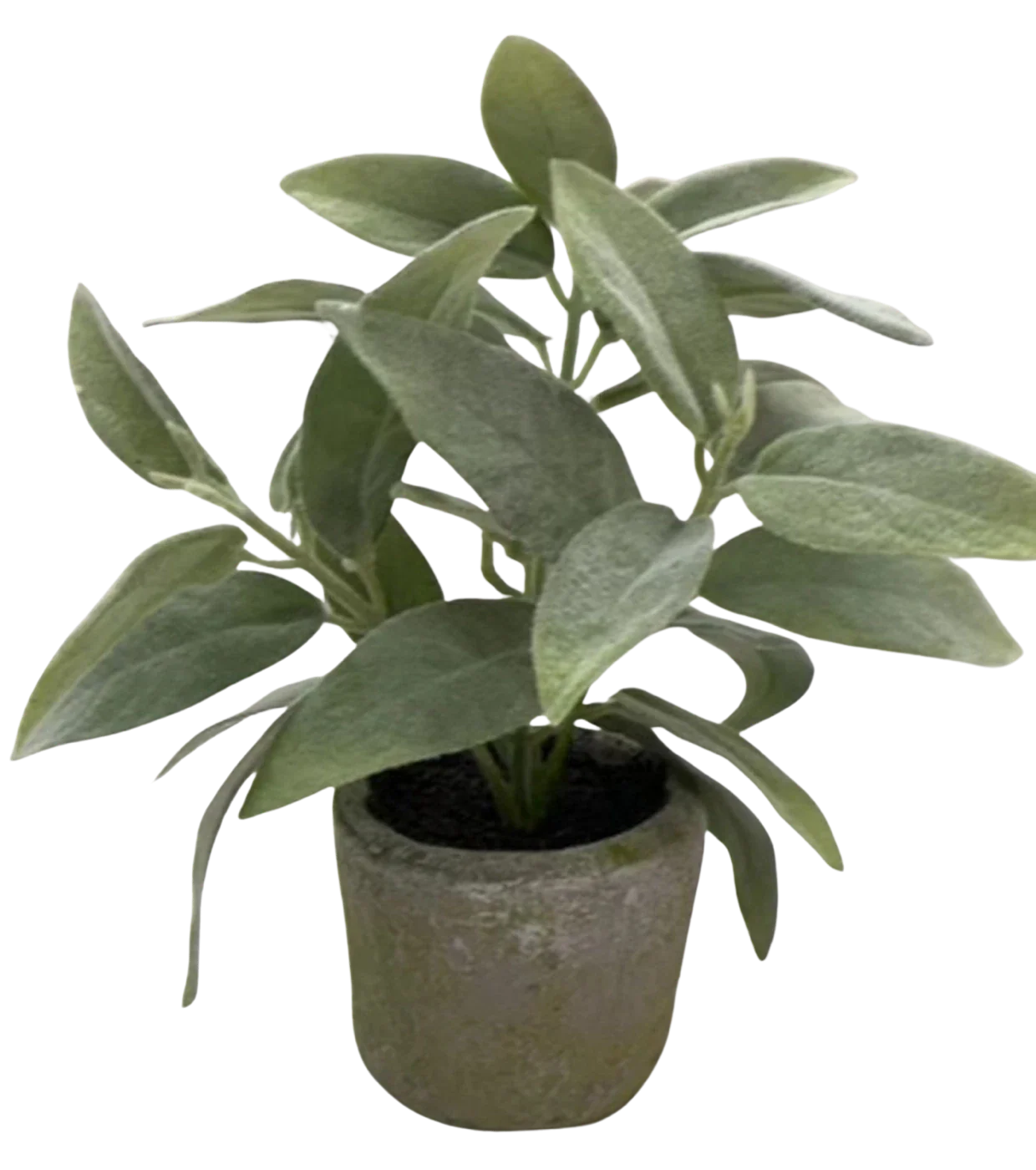 Künstliches Salbei - Reed | 26 cm