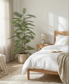 Künstliche Bergpalme - Nolte | 180 cm