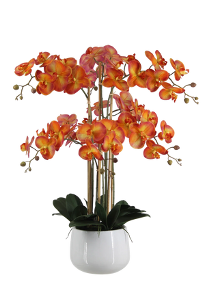 Künstliche Orchidee - Luan | 90 cm