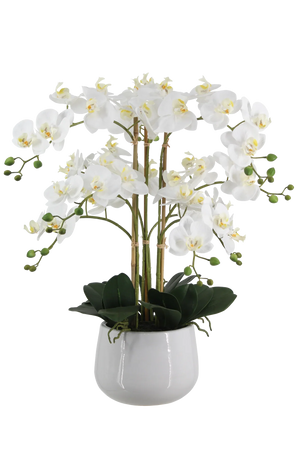 Künstliche Orchidee - Dan | 65 cm