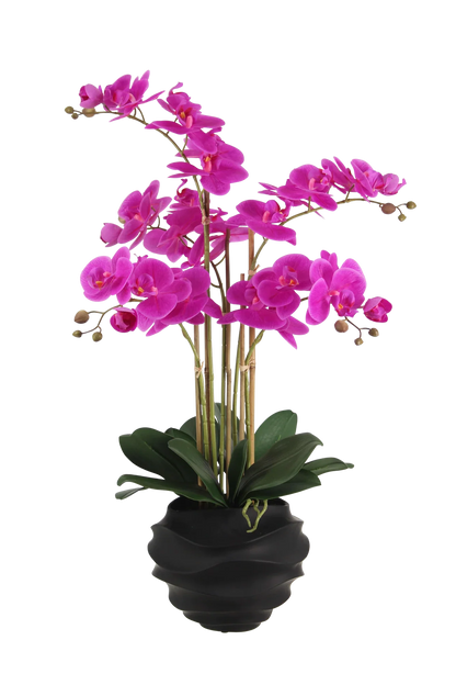 Künstliche Orchidee - Li | 67 cm
