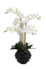 Künstliche Orchidee - Chi | 67 cm