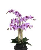 Künstliche Orchidee - Lien | 67 cm