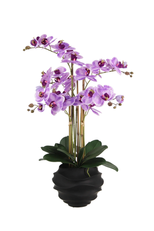 Künstliche Orchidee - Lien | 67 cm