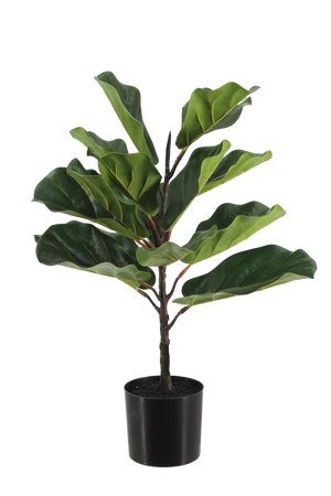 Künstlicher Ficus Lyrata - Luan | 60 cm