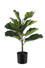 Künstlicher Ficus Lyrata - Luan, 60 cm, Kunstbaum von aplanta, in Grün, für drinnen