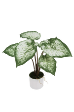 Künstliche Caladium - Dalia, 43 cm, Kunstpflanze von aplanta, inkl. Dekotopf, in Grün, für drinnen