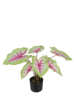 Künstliche Caladium - Malena, 53 cm, Kunstpflanze von aplanta, Real Touch, in Grün, für drinnen