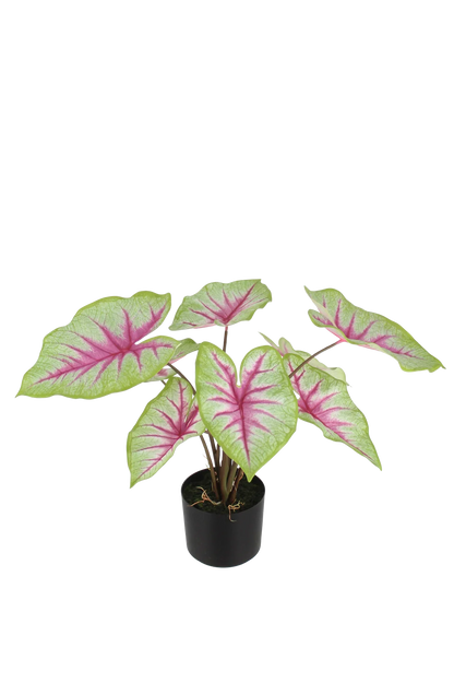 Künstliche Caladium - Malena, 53 cm, Kunstpflanze von aplanta, Real Touch, in Grün, für drinnen