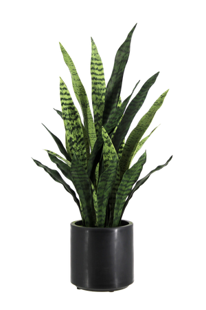 Künstlicher Bogenhanf - Nero | 90 cm