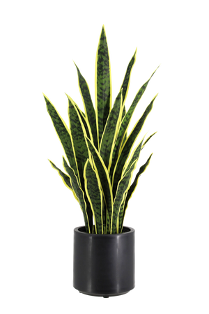 Künstlicher Bogenhanf - Juan | 90 cm