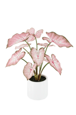 Künstliche Caladium - Mayra | 70 cm