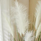 Künstliches Pampasgras – Aurelius | 90 cm