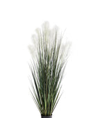 Künstliches Pampasgras – Aurelius | 152 cm