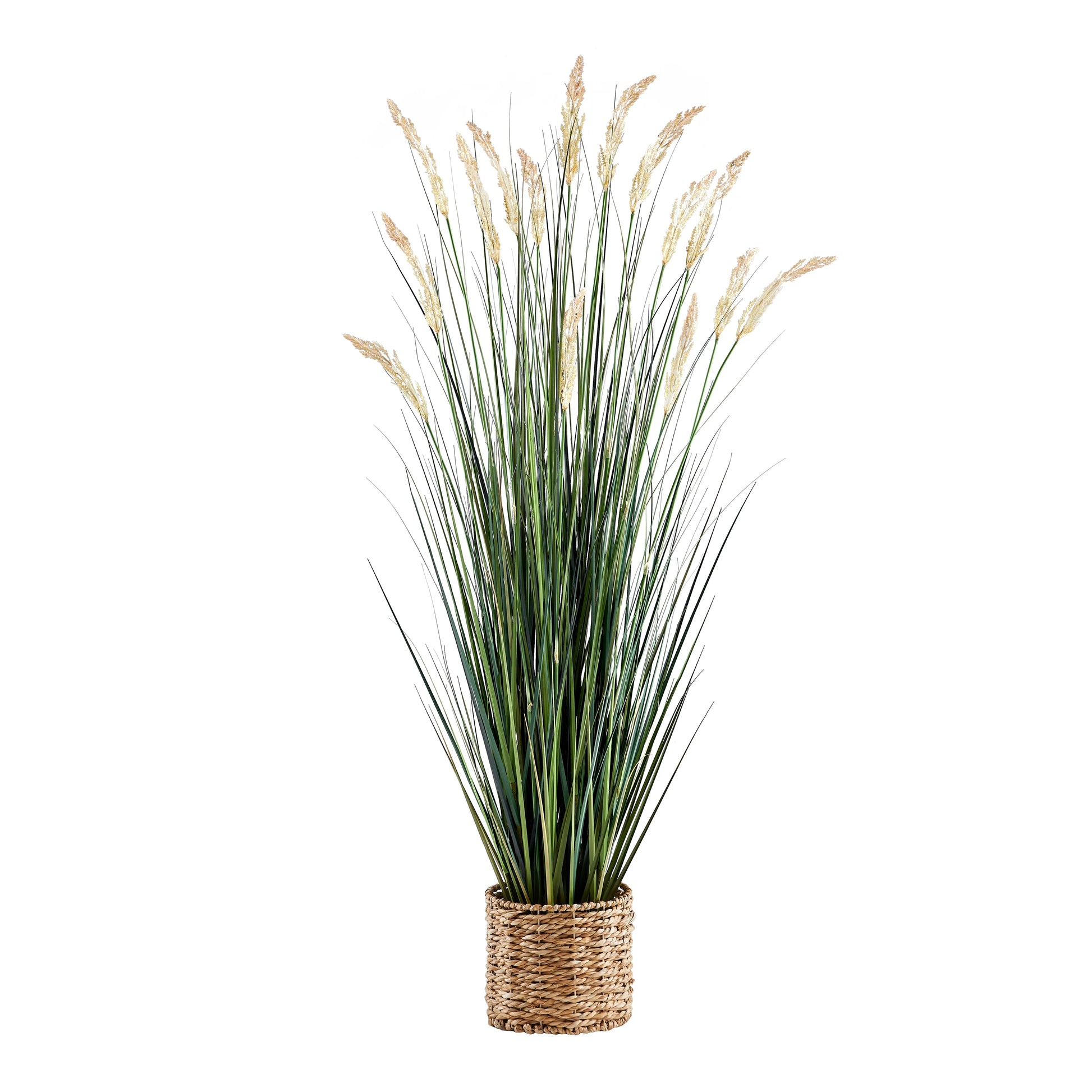 Künstliches Reitgras - Florentin, 175 cm, Kunstpflanze von aplanta, mit Fruchtstamm, in Grün, für drinnen