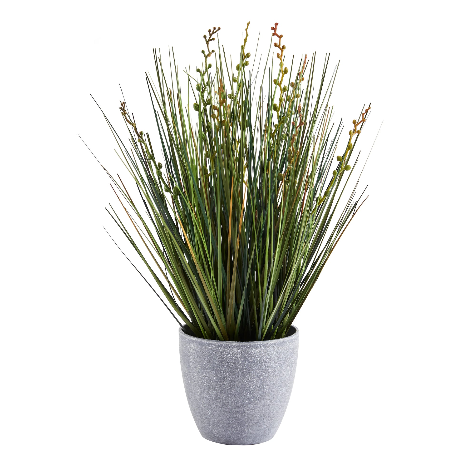 Künstliches Gras – Isambard | 35 cm