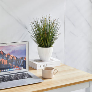 Künstliches Gras – Isambard | 35 cm