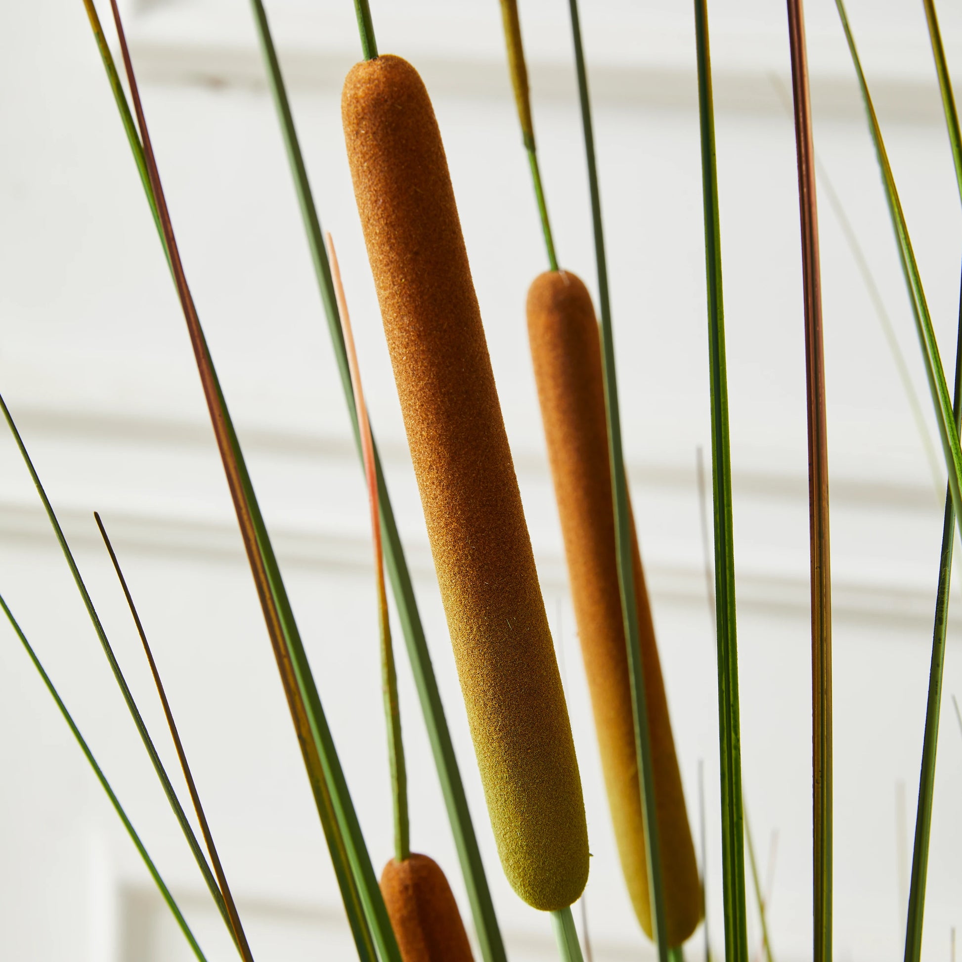 Künstlicher Rohrkolben - Emeric, 120 cm, Kunstpflanze von aplanta, mit Fruchtstamm, in Grün, für drinnen