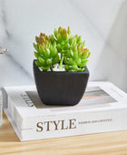 Künstliche Sukkulente – Nepomuk | 14 cm