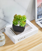 Künstliche Sukkulente – Nepomuk | 14 cm