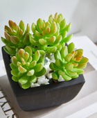 Künstliche Sukkulente – Nepomuk | 14 cm