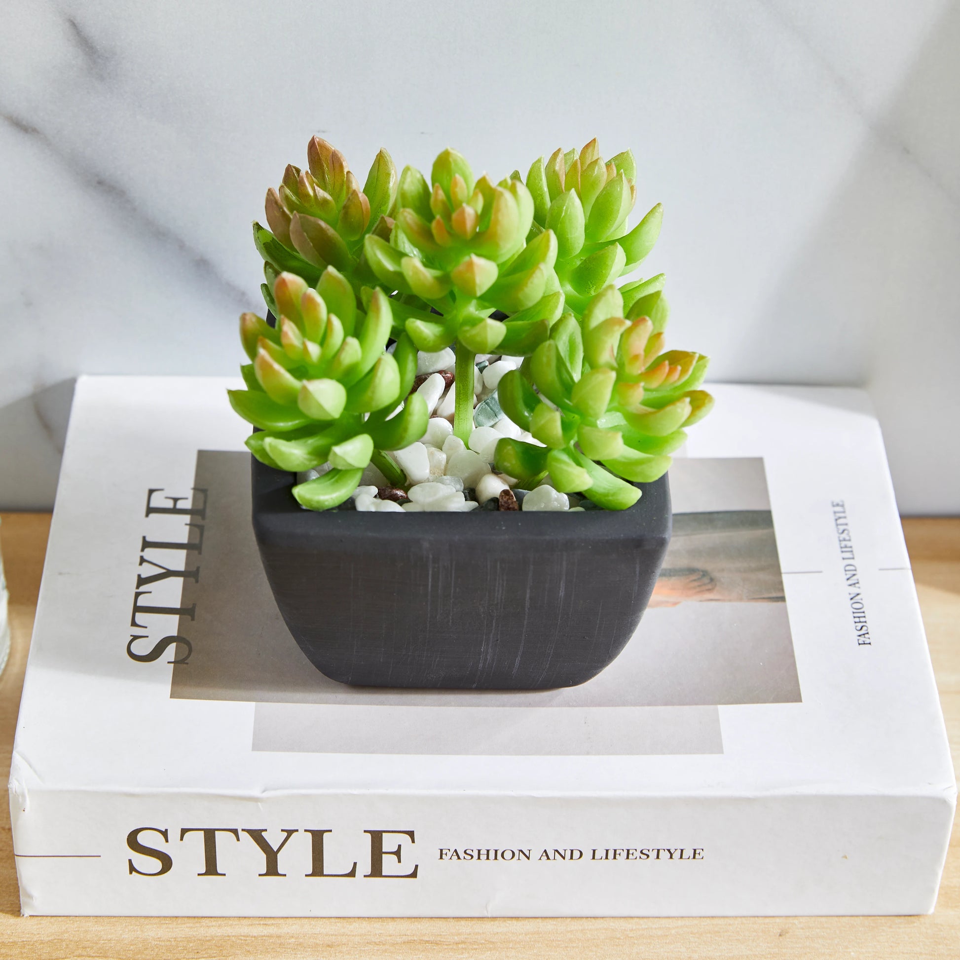 Künstliche Sukkulente – Nepomuk | 14 cm