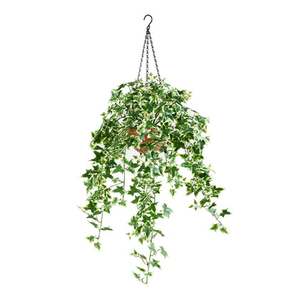 Künstlicher Hänge-Efeu – Seraphine | 100 cm