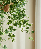 Künstlicher Hänge-Efeu – Seraphine | 100 cm