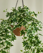 Künstlicher Hänge-Efeu – Seraphine | 100 cm