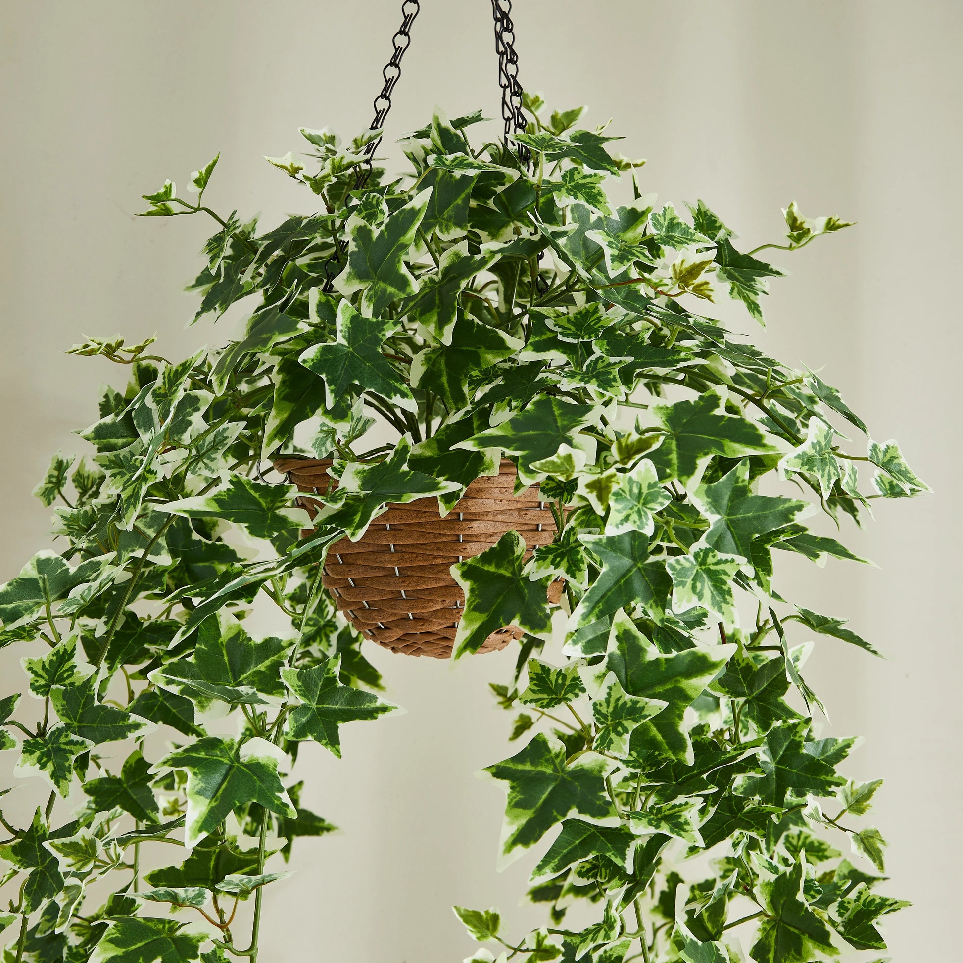Künstlicher Hänge-Efeu – Seraphine | 100 cm