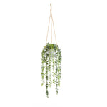 Künstliche Hänge-Eukalyptus - Philemon, 95 cm, Kunstpflanze von aplanta, in Grün, für drinnen