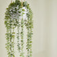 Künstliche Hänge-Eukalyptus - Philemon, 95 cm, Kunstpflanze von aplanta, in Grün, für drinnen