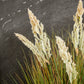 Künstliches Gras - Isoldeus, 61 cm, Kunstpflanze von aplanta, mit Fruchtstamm, in Grün, für drinnen