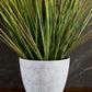 Künstliches Gras - Isoldeus, 61 cm, Kunstpflanze von aplanta, mit Fruchtstamm, in Grün, für drinnen