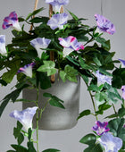 Künstliche Prunkwinde – Lysandra | 80 cm