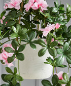 Künstliche Prunkwinde – Themistokles | 80 cm