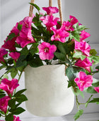 Künstliche Prunkwinde – Xanthe | 45 cm