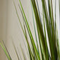 Künstliches Gras - Selwyn, 60 cm, Kunstpflanze von aplanta, in Grün, für drinnen