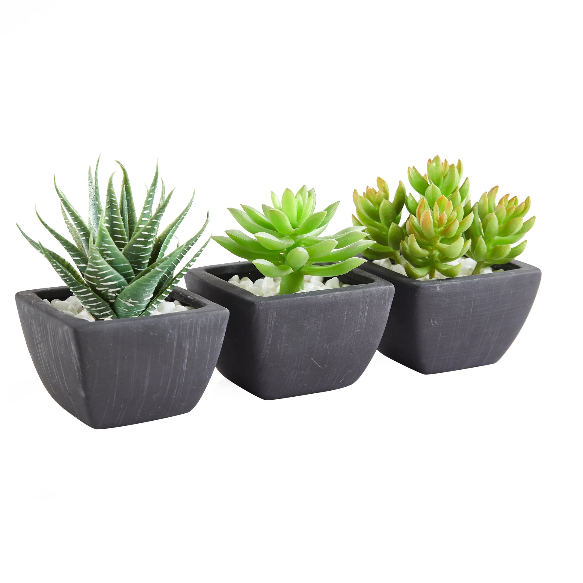 Künstliches Sukkulenten-Set – Aurea | 14 cm