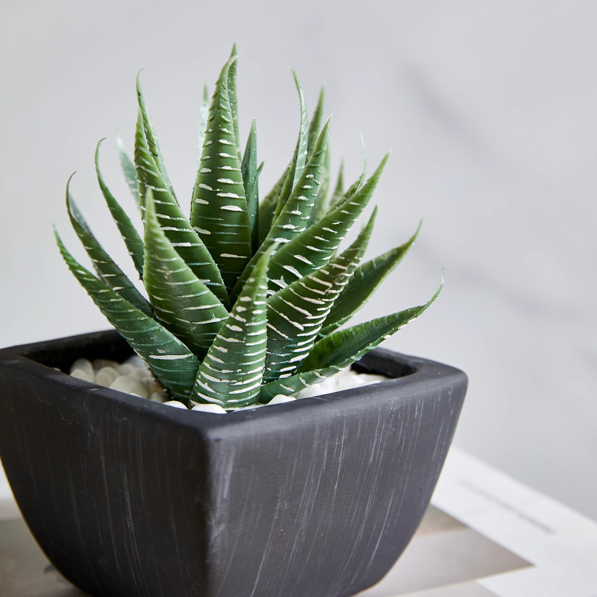 Künstliches Sukkulenten-Set – Aurea | 14 cm