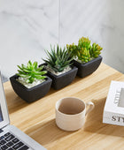 Künstliches Sukkulenten-Set – Aurea | 14 cm