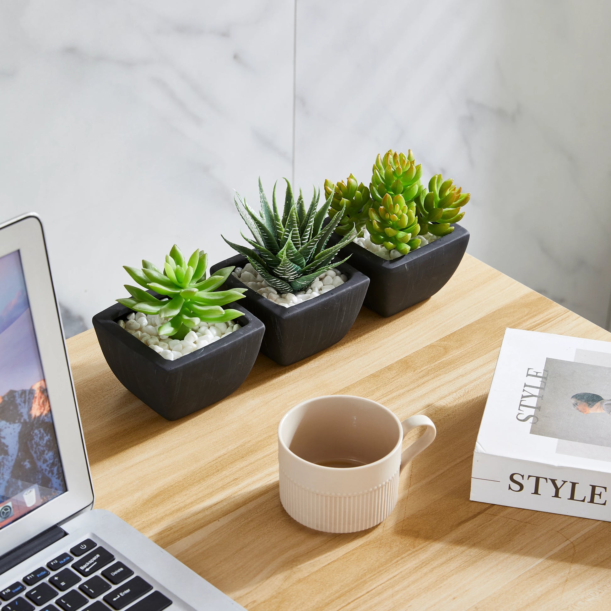 Künstliches Sukkulenten-Set – Aurea | 14 cm