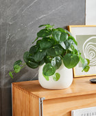 Künstlicher Geldbaum – Cassian | 39 cm